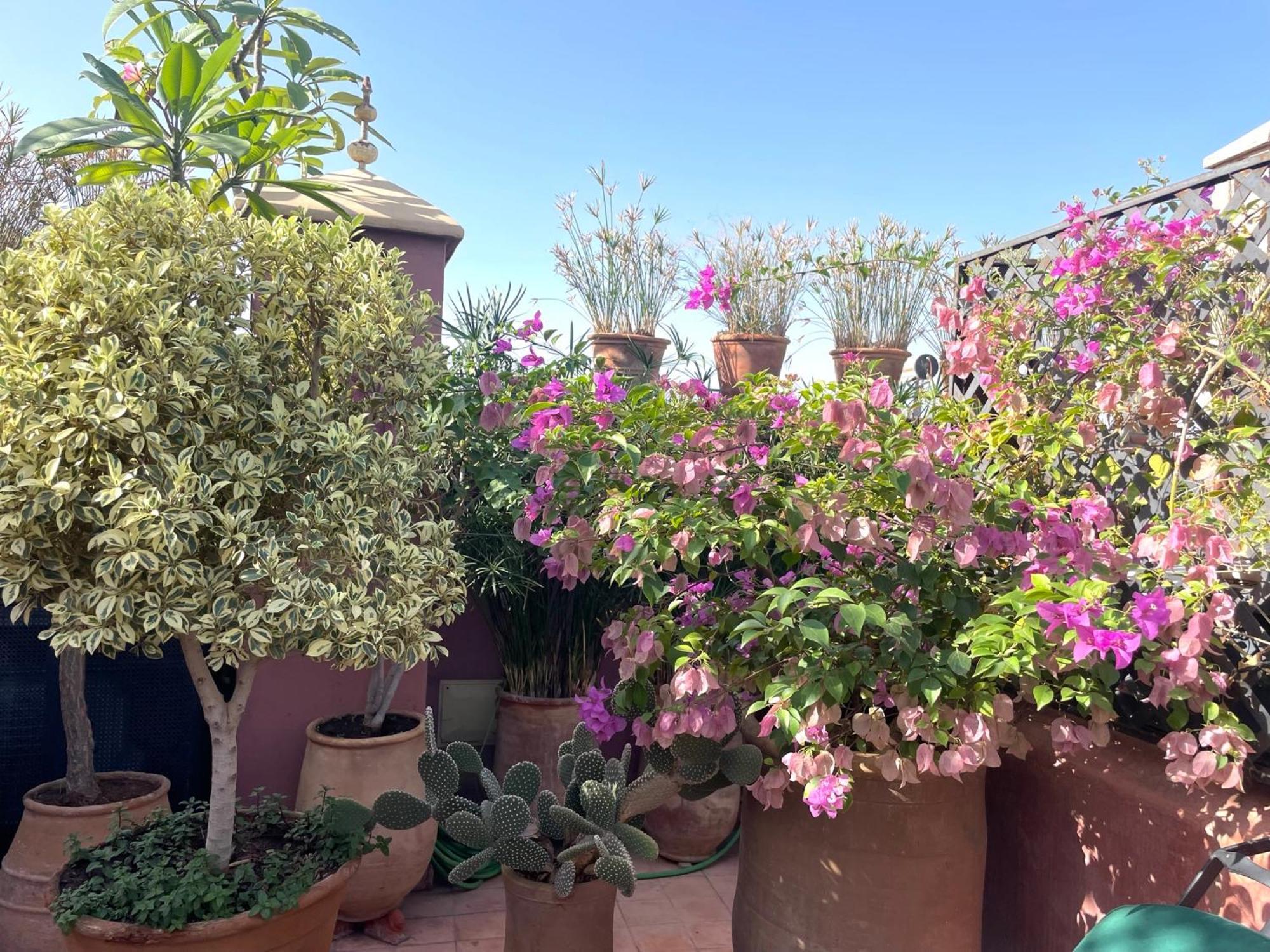 Dar Al Assad 5* Marrakesch